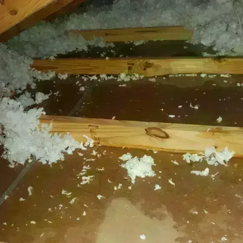 Attic Water Damage in Parkersburg, WV