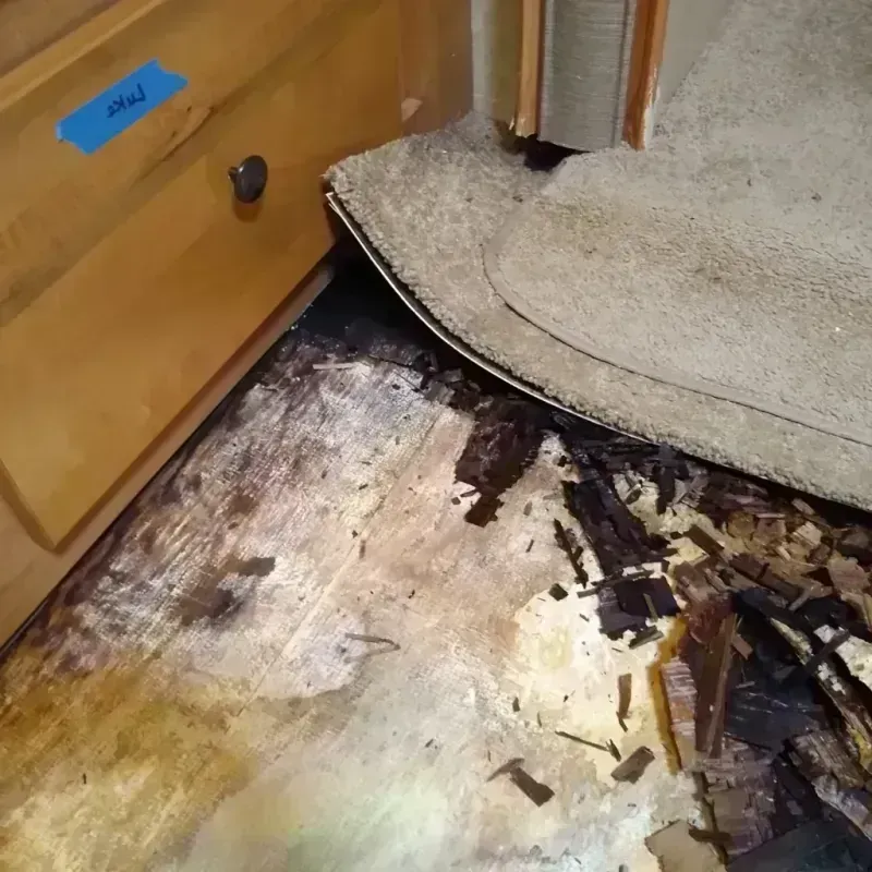 Wood Floor Water Damage in Parkersburg, WV